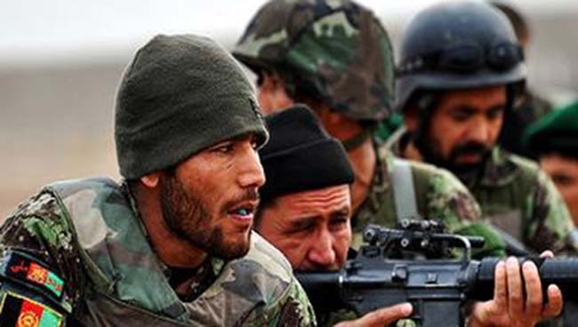 Afghan Army Captures Key Taliban Leader  